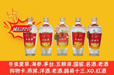 永州市蓝山回收老五粮液