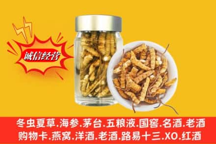 永州市蓝山回收散虫草