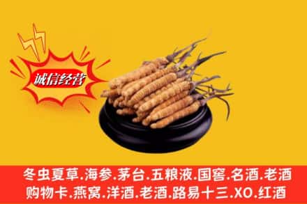 永州市蓝山高价上门回收虫草多少钱每克